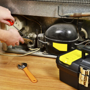 Fridge Checking Services